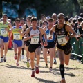 XXXII cross ciudad de Castellón