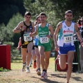 XXXII cross ciudad de Castellón