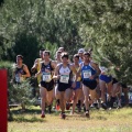 XXXII cross ciudad de Castellón