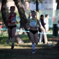 XXXII cross ciudad de Castellón