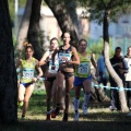 XXXII cross ciudad de Castellón