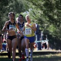 XXXII cross ciudad de Castellón