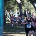 XXXII cross ciudad de Castellón