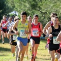 XXXII cross ciudad de Castellón