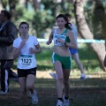 XXXII cross ciudad de Castellón