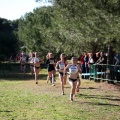 XXXII cross ciudad de Castellón