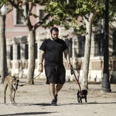 Fotografías de Juanjo Lavernia