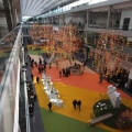 Cevisama 2011