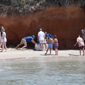 Suelta de tortuga