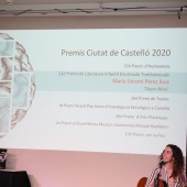 Premis Ciutat de Castelló 2020