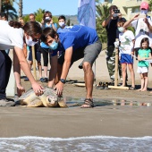 Castelló, suelta tortuga