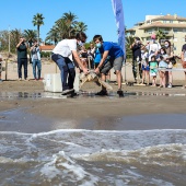 Castelló, suelta tortuga