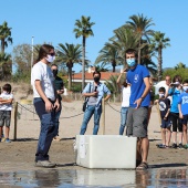 Castelló, suelta tortuga