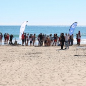 Castelló, suelta tortuga