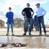 Castelló, Fundación Oceanográfic