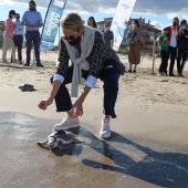 Castelló, Fundación Oceanográfic