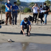 Castelló, Fundación Oceanográfic