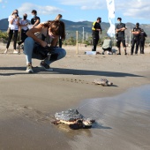 Castelló, Fundación Oceanográfic