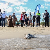 Castelló, Fundación Oceanográfic