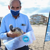 Castelló, Fundación Oceanográfic