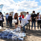 Castelló, Fundación Oceanográfic