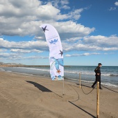 Castelló, Fundación Oceanográfic