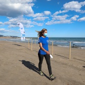 Castelló, Fundación Oceanográfic