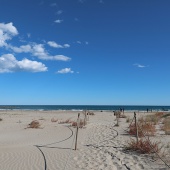 Castelló, Fundación Oceanográfic