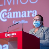 Premios Cámara Castellón