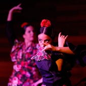 Zambomba Flamenca