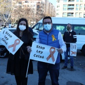 Manifestación en contra de la ley Celaá