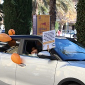 Manifestación en contra de la ley Celaá