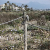 Voluntariado ambiental