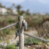 Voluntariado ambiental