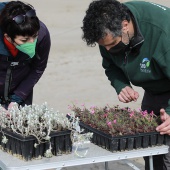 Voluntariado ambiental