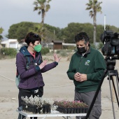 Voluntariado ambiental