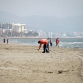 Voluntariado ambiental