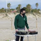 Voluntariado ambiental