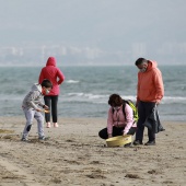 Voluntariado ambiental