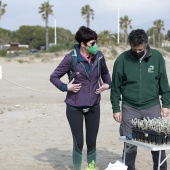 Voluntariado ambiental