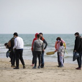 Voluntariado ambiental