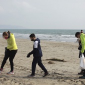 Voluntariado ambiental