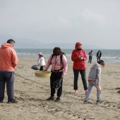 Voluntariado ambiental