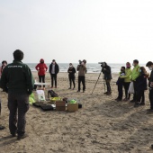 Voluntariado ambiental