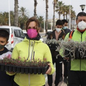 Voluntariado ambiental