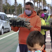 Voluntariado ambiental