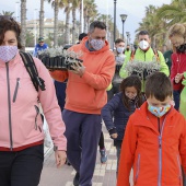 Voluntariado ambiental