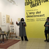 L´any del desconcert