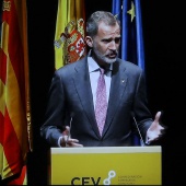 Asamblea General CEV