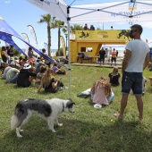 Fórmula Kites Spain